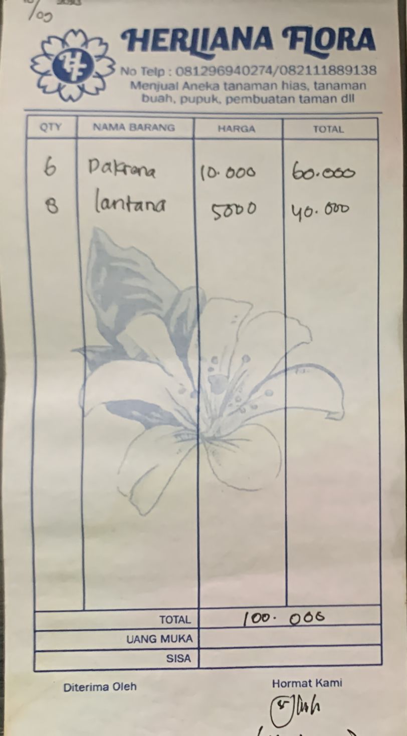 TML - Penyediaan tanaman untuk penghijauan pabrik oleh HERLIANA FLORA